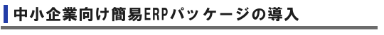 中小企業向け簡易ERPパッケージの導入